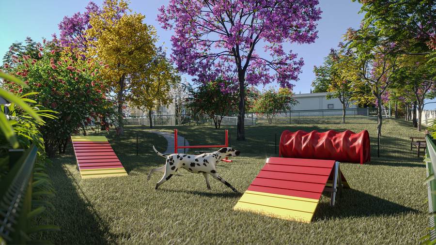 Pet place do Terras de São Bento com dálmata brincando em circuito de agility