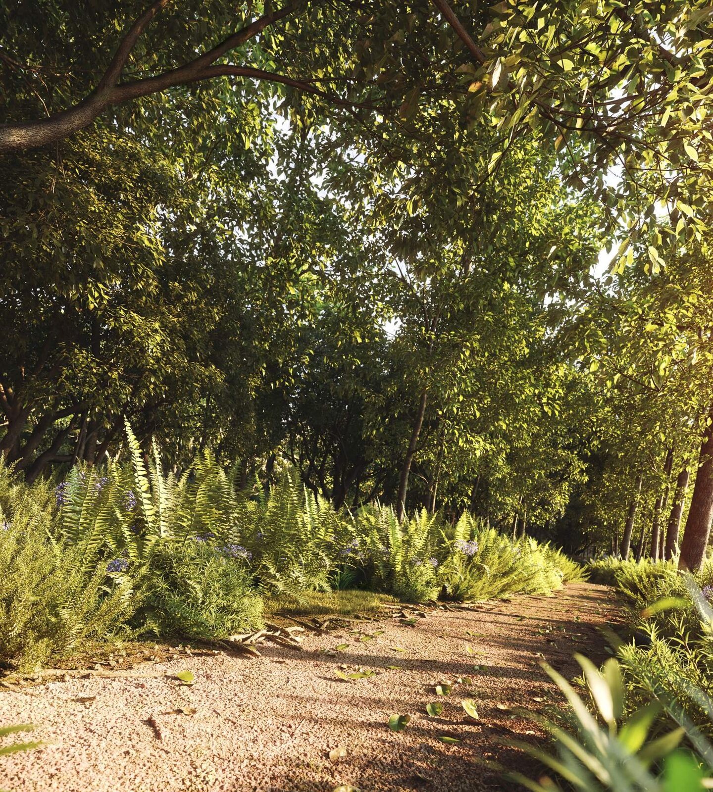 Parque dos Pinheiros, Monte Mor/SP — trilha ecológica de caminhada cercada por área verde preservada.